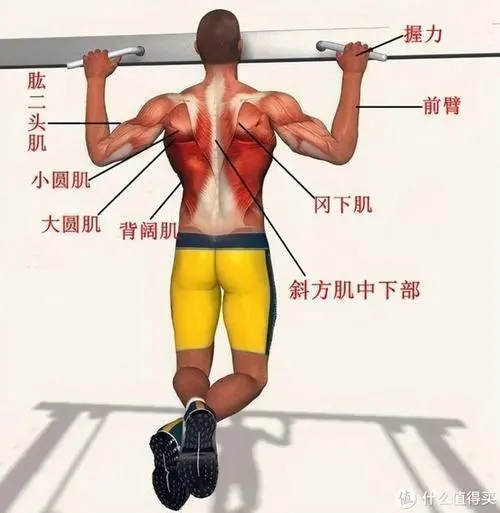 室内健身7天变化